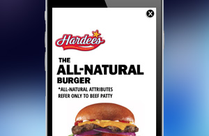 Hardees Full Page Flex HTML5, Map